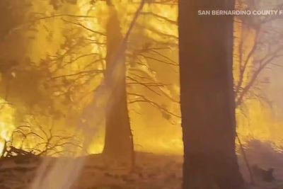 Video shows wildfire rip through California as crews fight back flames