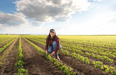 Soybeans Getting an Early Wednesday Recovery