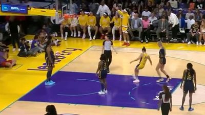 Sparks Coach Calls Disturbing WNBA Incidents 'Dumb' and 'Dangerous'