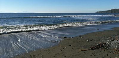 The world’s longest marine heat wave upended ocean life across the Pacific