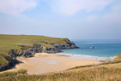 Police investigate after sheep chased to death off cliff edge in Cornwall