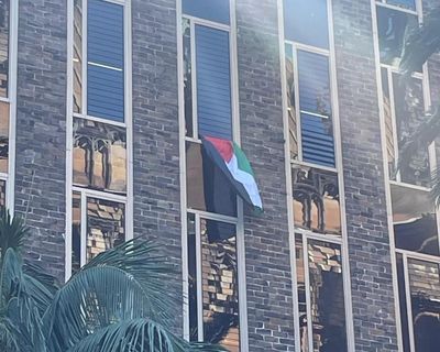 University of Sydney removes Palestinian flag from academic’s window after accusing him of breaching policy