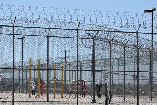 ‘Horrific’: report reveals abuse of pregnant women and children at US Ice facilities