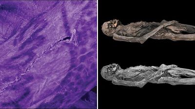 Extraordinary ancient tattoo art uncovered on 2300-year-old ice mummy in groundbreaking study