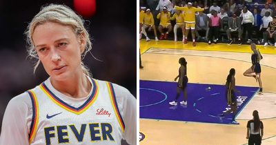 Viral Footage Of Flying Adult Toy Hitting WNBA Star During Game Sparks Hilarious Reactions