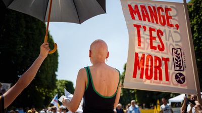 French court to rule on agriculture law that poses threat to bees and nature