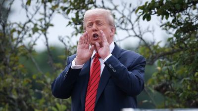 Donald Trump makes America lose billions and decides charging tourists $15k is the answer
