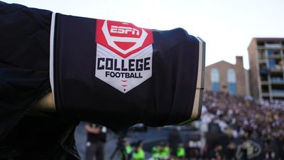 Roger Goodell Says ESPN Could Adapt 'RedZone' Name for College Football