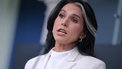 ‘Not if, but how’: Tulsi Gabbard’s ‘irrefutable proof’ of Obama treason is incomprehensible word salad