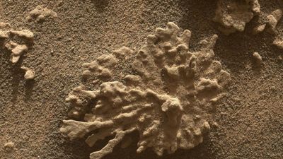 Curiosity rover celebrates 13 years on Mars with well-deserved naps and Red Planet 'coral'