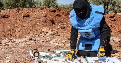 Scottish charities to clear landmines to help frankincense tree project in Somalia