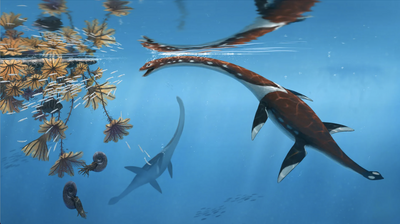 'Most remarkable' fossil of Jurassic sea monster from Germany is previously unknown species