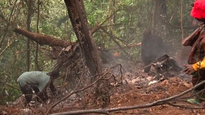 Ghana helicopter crash kills defence and environment ministers