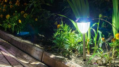 This one simple task can keep your solar lights shining brighter for longer