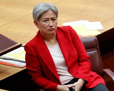 Penny Wong complained to China about intimidation of exiled Hong Kong pro-democracy campaigners