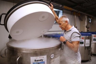 Harvard scientists say research could be set back years after funding freeze