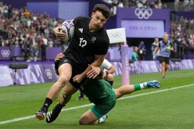 The dog ate my passport: Family pooch dogs rookie's All Blacks call-up