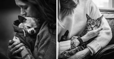 These 23 Goodbye Photos Of Pets Show That Love Truly Lasts A Lifetime