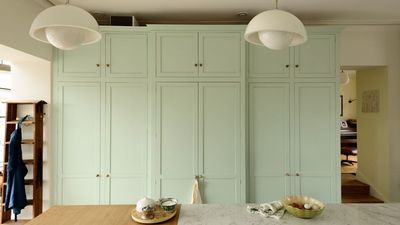 ‘Finally! A way to organize all these metal cups’ – my messy bottles are so annoying, but I'm getting this adjustable cabinet hero that 1000s swear by