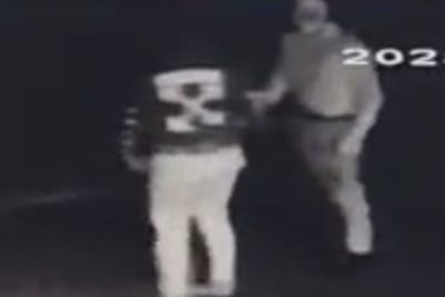 Police hunt vandals after more than 40 cars wrecked in overnight spree