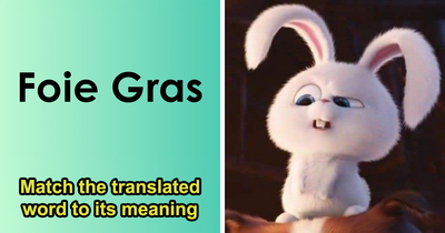 Pair Each Literal Translation With What It Means In These 28 Literal Funny Translated Terms
