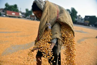 India Exporters Say 50% Trump Levy A 'Severe Setback'