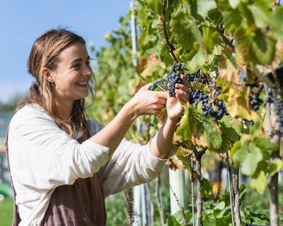 The best UK vineyards to visit this summer – and what to drink at them