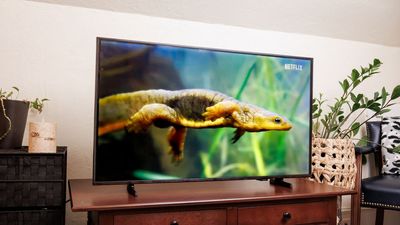 Samsung F6000F LED TV review: a small, barebones 1080p TV