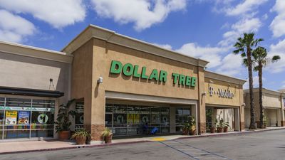 7 Amazing Outdoor Items To Buy at Dollar Tree Before Fall