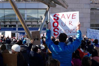 ‘Impossible to rebuild’: NIH scientists say Trump cuts will imperil life-saving research