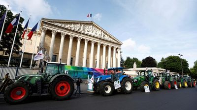 France's top constitutional court rejects return of bee-killing pesticide
