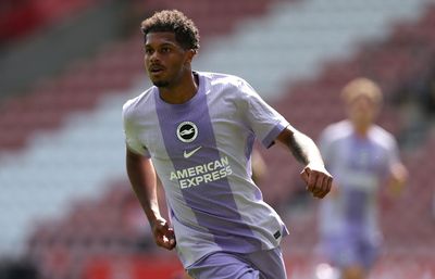 Brighton and Hove Albion Season Preview 2025-26: How high can the Seagulls fly after Joao Pedro loss?