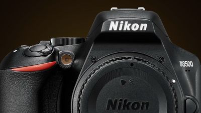 7 years on, the Nikon D3500 is still my top DSLR choice (not just for beginners)