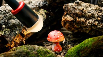 Could this be the ultimate macro photography light?