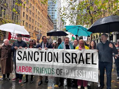 Dissent against Chris Minns spills into NSW parliament as Labor MP accuses party of gagging debate on Gaza