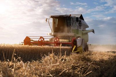 Wheat Posts Thursday Strength