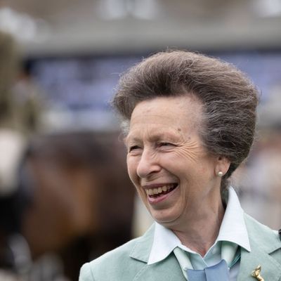 Princess Anne Is The Ultimate Horse Girl in Diplomatic Green Outfit and Symbolic $20,000 Brooch During Ireland Visit