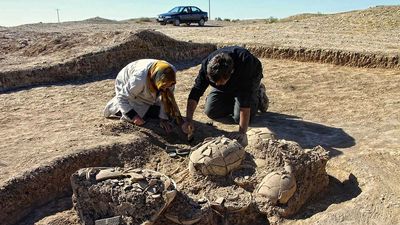 3,000-year-old burial of elite teen unearthed in Iran, with gold jewelry and astonishing 'scorpion' cosmetics box
