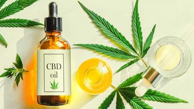 How CBD Oil Interacts with the Endocannabinoid System to Promote Wellness