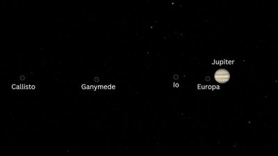 Jupiter and its 4 largest moons will line up in the sky on Aug. 8. Here's how to see the 'parade'