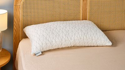 Coop Sleep Goods Original Adjustable Pillow review 2025: Customizable comfort for all sleeping styles