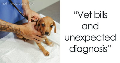 The Internet Loves Dogs, But Here Are 38 Downsides Of Having One As A Pet