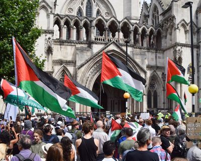 Amnesty urges Met police not to arrest protesters supporting Palestine Action