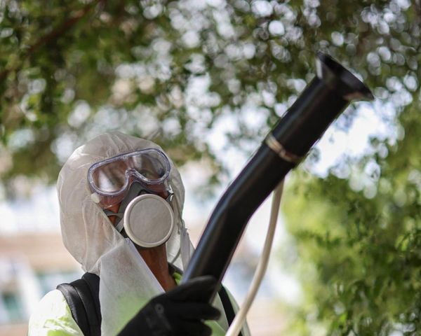 Alarm in China that efforts to control Chikungunya virus are infringing on rights