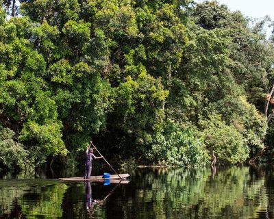 Oil exploration in the Congo basin rainforest could be a disaster for nature and the climate
