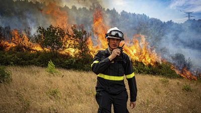 French wildfire 'under control', but wine region faces long road to recovery