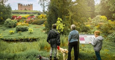 Urgent bid launched to preserve historic coach house in 15th century castle