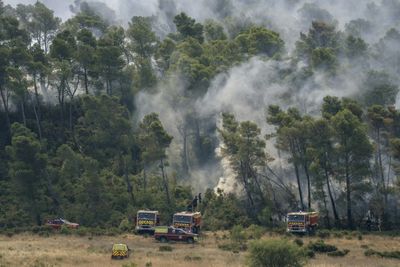 French Firefighters Optimistic After Controlling Vast Wildfire