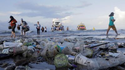 Toxic convenience: what science tells us about plastic’s hidden costs