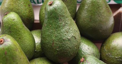 UK imports of Israeli fruit and veg increase as Gazans die of starvation